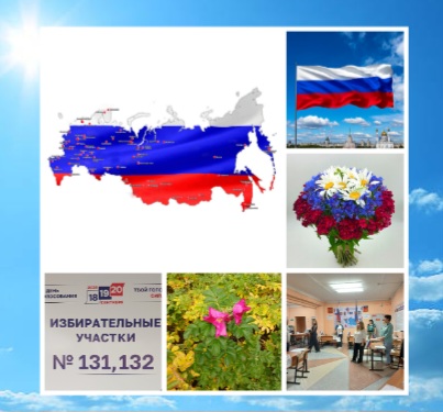 Сообщение — УИК №132, Мурманская область
